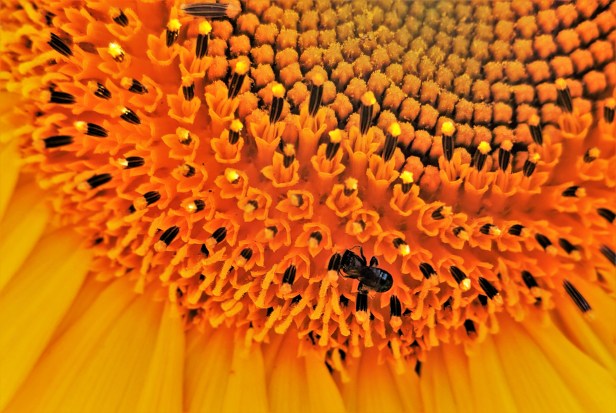 00100dPORTRAIT_00100_BURST20190915142423470_COVER